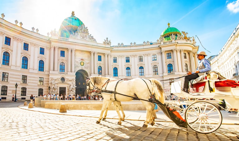 Wien Fiaker Hofburg